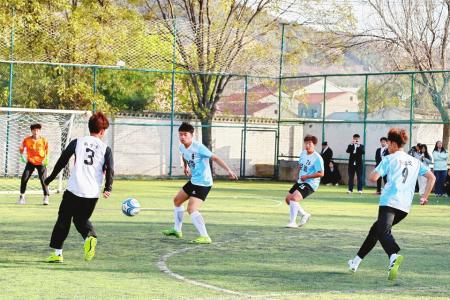 本報(bào)記者 劉琴 攝